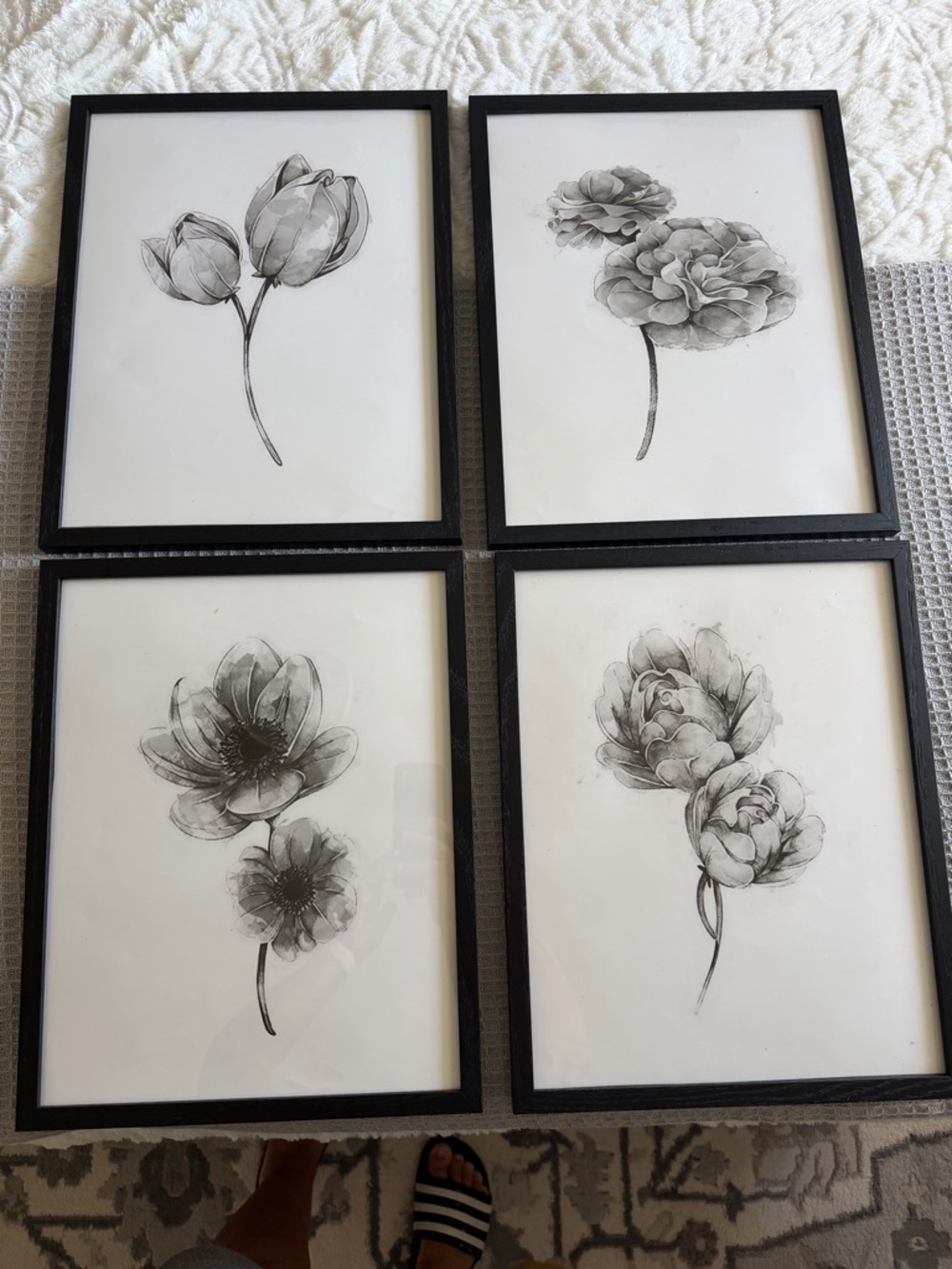 Set of 4 Black Framed Botanical Sketch Prints